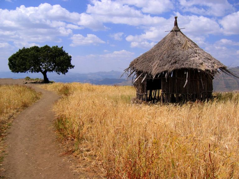 Wooden Home Above Lalibela