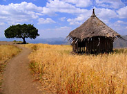 Wooden Home Above Lalibela