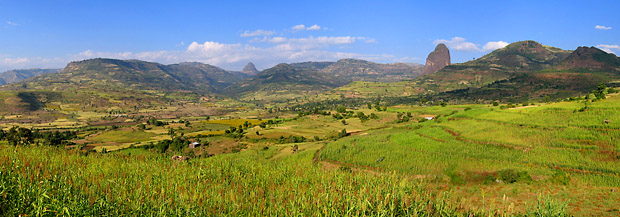 Cultivated Landscape Near Gonder