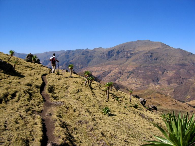 Gerard Descending Mt. Ras Dashen
