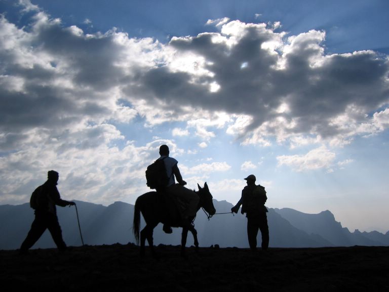 Gerard Catching a Mule Ride to Rest His Broken Ankle