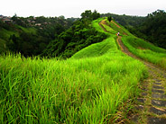 Stone Path Leads Along a Ridge