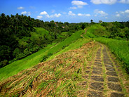 Stone Path Leads Along a Ridge