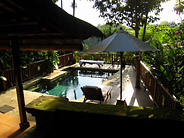 Pool Overlooking Rice Paddies