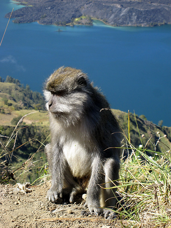 Money Taking in the View of the Caldera