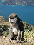 Money Taking in the View of the Caldera