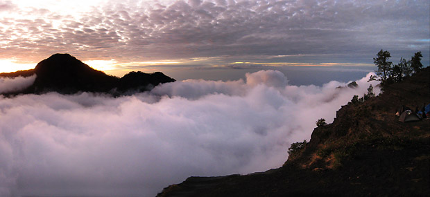 Fog Rolls in at Twilight