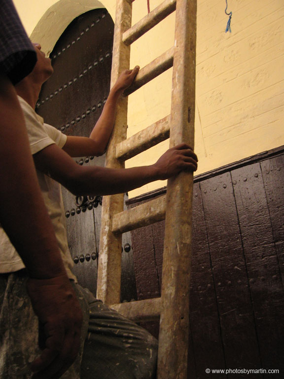 Man with Ladder