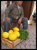 Melon Vendor