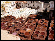 Leather Tanneries