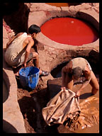 Leather Tanneries