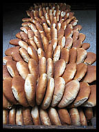 Bread at Bakery