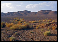 Desert Landscape