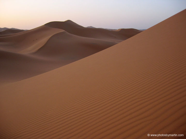 Sahara Sand Dunes