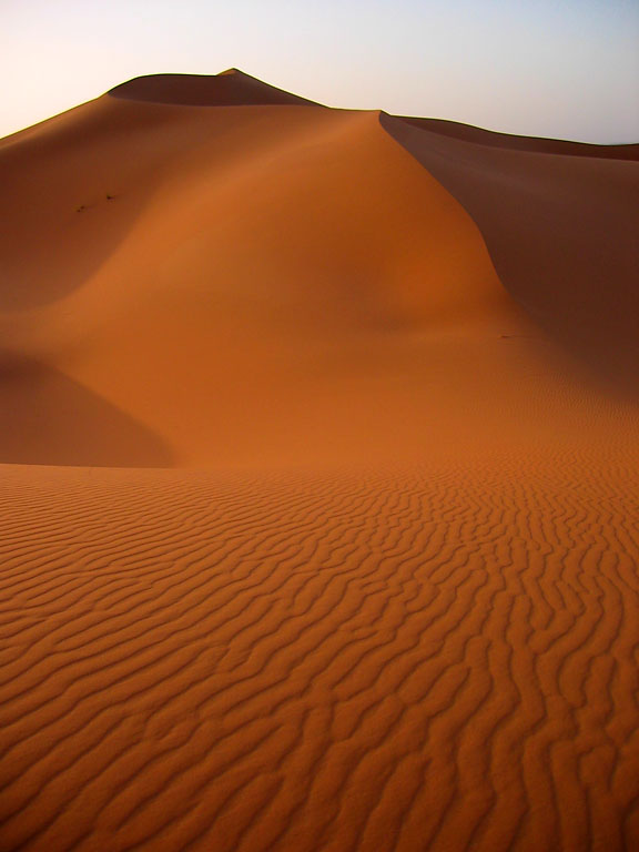 Sahara Sand Dunes