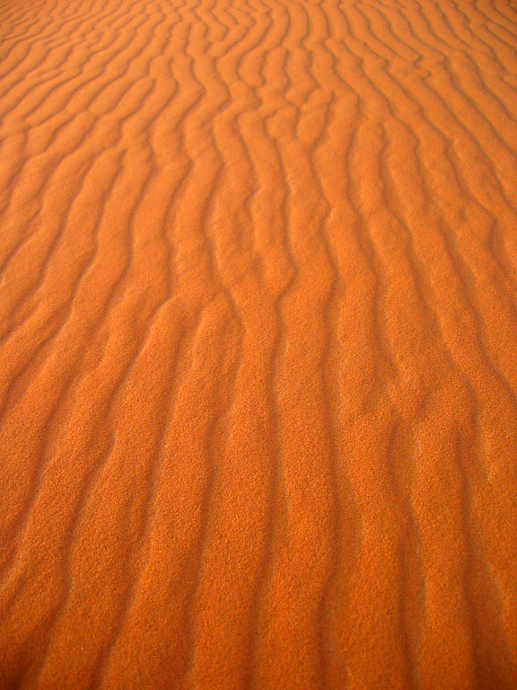 Sahara Sand Dunes