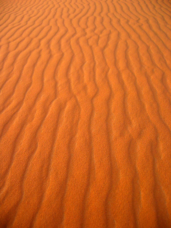 Sahara Sand Dunes