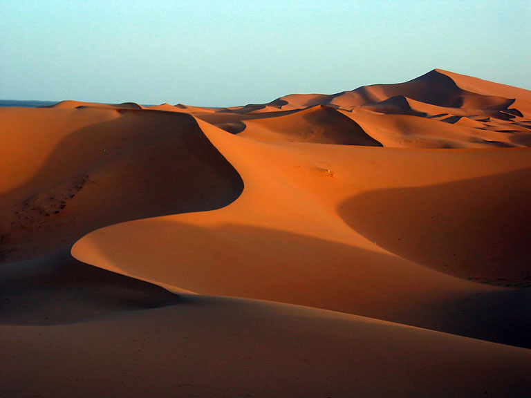 Sahara Sand Dunes