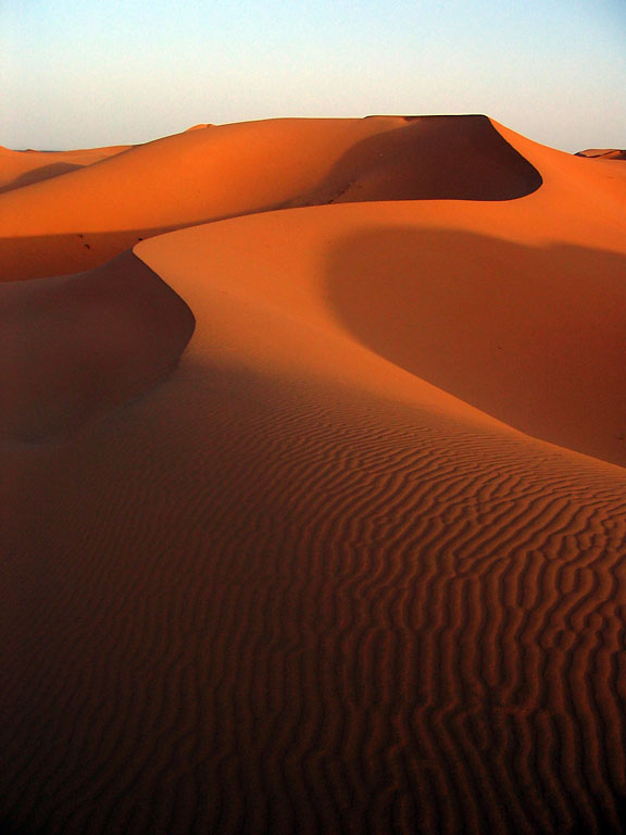 Sahara Sand Dunes