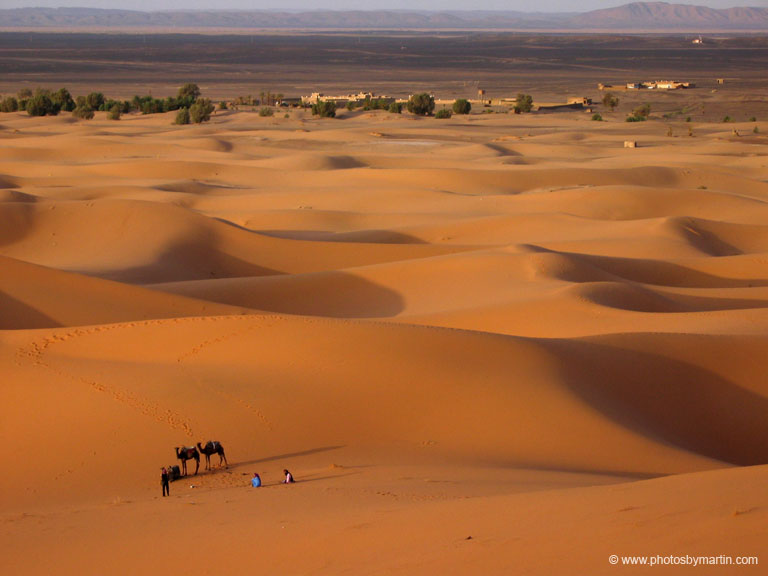 Sahara Sand Dunes