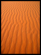 Sahara Sand Dunes