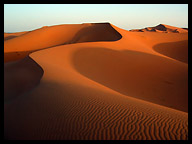 Sahara Sand Dunes