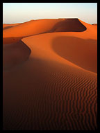 Sahara Sand Dunes