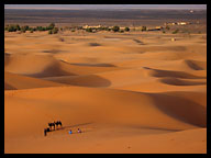 Sahara Sand Dunes