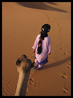 Man Leading Camel in the Desert