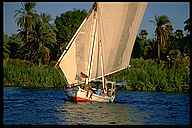 Felucca on the Nile River