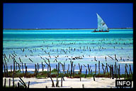 Dhow Sailing Across a Blue Lagoon