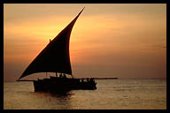 Dhow Sailboat at Sunset