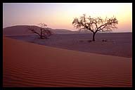 Sand Dunes at Sossusvlei