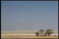 Great Salt Pan of Etosha