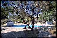 Swimming Pool at Etosha