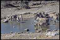 Waterhole at Etosha