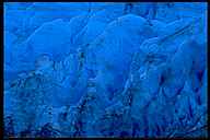 Blue Ice of the Exit Glacier