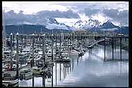 Fishing Boats in Homer