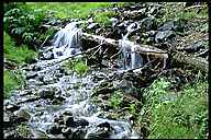 Mountain Stream