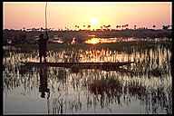 Sunset in the Okavango Delta