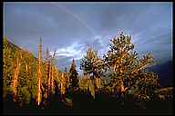 Alaska Landscapes Rainbow Over Eagle River Valley