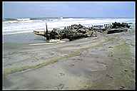 Shipwreck on the Skeleton Coast