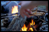 Throwing Wood in the Fire