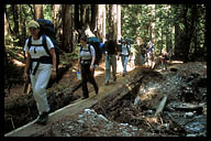 Creek Crossing