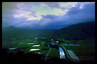 Storm Clouds Over Lush Valley