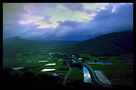 Hawaii Landscapes