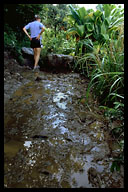 Crossing Another Mud Field