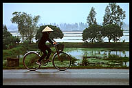 Bicycle in the Rain
