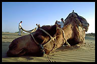 End of the Day on the Camel Safari