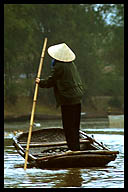 Rowing Down the River